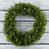 image15Inch Hedyotis Wreath  Round UV Resistant Artificial Summer Fall Winter or Spring Wreath  IndoorOutdoor Wreaths for Front Door by Pure GardenGreen
