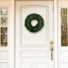 imageBoxwood Wreath  165Inch Round UV Resistant Artificial Spring Summer Fall or Winter Wreath  OutdoorIndoor Wreaths for Front Door by Pure GardenGreen