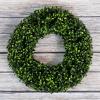 imageBoxwood Wreath  165Inch Round UV Resistant Artificial Spring Summer Fall or Winter Wreath  OutdoorIndoor Wreaths for Front Door by Pure GardenGreen