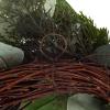 imageEucalyptus Wreath  20Inch Artificial Spring Summer or Fall Wreath for Home Decor  Wreaths for Indoors or Covered Patio Use Only by Pure GardenGreen  White  Single