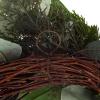 imageEucalyptus Wreath  20Inch Artificial Spring Summer or Fall Wreath for Home Decor  Wreaths for Indoors or Covered Patio Use Only by Pure GardenGreen  White  Set of 2