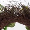 imageEucalyptus Wreath  20Inch Artificial Spring Summer or Fall Wreath for Home Decor  Wreaths for Indoors or Covered Patio Use Only by Pure GardenGreen  White  Single