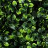 imagePure Garden Boxwood Wreath  165Inch Square UV Resistant Artificial Spring Summer Fall or Winter Wreath  OutdoorIndoor Wreaths for Front Door165Inch