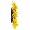 imageYellow Forsythia Wreath  24Inch Artificial Spring Wreath for Home Decor  Wreaths for Indoors or Covered Patio Use Only by Pure Garden24 Set of 2