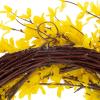 imageYellow Forsythia Wreath  24Inch Artificial Spring Wreath for Home Decor  Wreaths for Indoors or Covered Patio Use Only by Pure Garden24 Set of 2