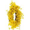 imageYellow Forsythia Wreath  24Inch Artificial Spring Wreath for Home Decor  Wreaths for Indoors or Covered Patio Use Only by Pure Garden24 Set of 2