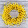 imageYellow Forsythia Wreath  24Inch Artificial Spring Wreath for Home Decor  Wreaths for Indoors or Covered Patio Use Only by Pure Garden24 Set of 2
