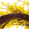 imageYellow Forsythia Wreath  24Inch Artificial Spring Wreath for Home Decor  Wreaths for Indoors or Covered Patio Use Only by Pure Garden24 Single Wreath