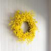 imageYellow Forsythia Wreath  24Inch Artificial Spring Wreath for Home Decor  Wreaths for Indoors or Covered Patio Use Only by Pure Garden24 Single Wreath