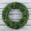 imagePure Garden 195Inch Boxwood Wreath  Round UV Resistant Artificial Spring Summer Fall or Winter Wreath  IndoorOutdoor Wreaths for Front DoorGreen