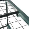 image4 Tier Mini Greenhouse  Portable Greenhouse with RustResistant Frame and PVC Cover for IndoorOutdoor  275x19x63Inch Green House by Pure Garden4 Tier