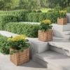 imagePure Garden Fiber Clay Planter Set  3Piece Varying Height Textured Pots  Rounded Bottom and Drainage Holes for Herbs Plants or Flowers GrayBrown