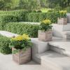imagePure Garden Fiber Clay Planter Set  3Piece Varying Height Textured Pots  Rounded Bottom and Drainage Holes for Herbs Plants or Flowers GrayGray