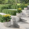 imagePure Garden Fiber Clay Planter Set  3Piece Varying Height Textured Pots  Rounded Bottom and Drainage Holes for Herbs Plants or Flowers GrayGray
