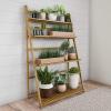 imagePure Garden Ladder Plant Stand4 Tier Freestanding Bamboo Storage ShelfFoldable IndoorOutdoor Rack for Flowerpots Planters Shoe Rack or Display