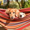 imageDouble Brazilian Hammock with Stand Included  Woven Cotton 2Person Outdoor Swing with Frame for Camping Backyard or Patio by Pure GardenBlue  Red  Tan