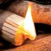 imageFire Starter Sticks 20Pack with Storage Box  Pine Wood Firestarter Kindling Bundles  Indoor or Outdoor Fire Starters for Campfires Grills Wood Stoves Firepits or Fireplaces by Kings County Tools20Pack