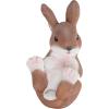 imagePure Garden Bunny Rabbit StatueResin Animal Figurine for Outdoor Lawn and Garden DcorGreat for Flower Beds Fairy Gardens Backyards and MoreRabbit