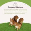 imagePure Garden Bunny Rabbit StatueResin Animal Figurine for Outdoor Lawn and Garden DcorGreat for Flower Beds Fairy Gardens Backyards and MoreSquirrel