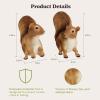 imagePure Garden Bunny Rabbit StatueResin Animal Figurine for Outdoor Lawn and Garden DcorGreat for Flower Beds Fairy Gardens Backyards and MoreSquirrel