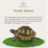 imagePure Garden Lawn Gnome StatueFun Classic Style Resin Figurine for Outdoor Garden DcorGreat for Flower Beds Fairy Gardens Backyards and MoreTurtle Statue