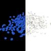 imagePure Garden GlowinTheDark Solar Pebble Lights 500 Ct Blue Decorative Rocks for Flower Beds Walkways and PatiosBlue