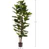 imageArtificial Fiddle Leaf Fig Tree  6FT Fake Plant with Pot and Natural Feel Leaves for Home or Office Decor  Artificial Plants Indoor by Pure Garden6ft  Set of 2