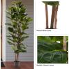 imageArtificial Fiddle Leaf Fig Tree  6FT Fake Plant with Pot and Natural Feel Leaves for Home or Office Decor  Artificial Plants Indoor by Pure Garden6ft  Set of 2