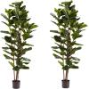 imageArtificial Fiddle Leaf Fig Tree  6FT Fake Plant with Pot and Natural Feel Leaves for Home or Office Decor  Artificial Plants Indoor by Pure Garden6ft  Set of 2