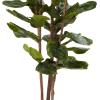 imageArtificial Fiddle Leaf Fig Tree  6FT Fake Plant with Pot and Natural Feel Leaves for Home or Office Decor  Artificial Plants Indoor by Pure Garden6ft