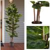 imageArtificial Fiddle Leaf Fig Tree  6FT Fake Plant with Pot and Natural Feel Leaves for Home or Office Decor  Artificial Plants Indoor by Pure Garden6ft