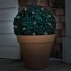 imageBoxwood Plant  11in Faux Outdoor Topiary PreLit with Solar LEDs  Artificial Boxwood Ball with Rechargeable Lights  Greenery Decor by Pure Garden2 Pack