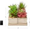 imageHome Pure Garden Faux Succulents  Assorted Lifelike Plastic Greenery Arrangement with Decorative Wooden Boxes for Indoor or Office 4 in 1 Set