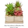 imageHome Pure Garden Faux Succulents  Assorted Lifelike Plastic Greenery Arrangement with Decorative Wooden Boxes for Indoor or Office 4 in 1 Set