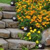 imagePure Garden 5021 Powered Rock Outdoor Weather FauxStone LED Solar Lights Set for Paths Gardens and Landscaping 4PACK Black 4 CountBlack
