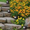 imagePure Garden 5021 Powered Rock Outdoor Weather FauxStone LED Solar Lights Set for Paths Gardens and Landscaping 4PACK Black 4 CountBlack