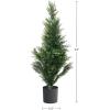 imagePure Garden Cedar Artificial Trees for OutdoorsLarge Faux Potted Evergreen Plants for Decoration at Home or Office 34quot Green 2 Pieces34