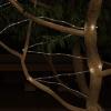 imagePure Garden Outdoor Solar Rope Light Solar Powered Cable String 100 LED Lights with 8 Modes for Patio Backyard Garden Events Cool WhiteWarm White