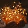 imagePure Garden SolarPowered 100 Fairy Lights Warm White 2Pack1Pack