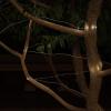 imagePure Garden SolarPowered 100 Fairy Lights Warm White 2Pack1Pack
