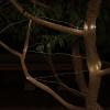 imagePure Garden SolarPowered 100 Fairy Lights Warm White 2Pack4Pack