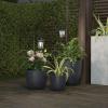 imageSet of 2 Solar Lanterns  Waterproof Hanging Coach LED Lights with Shepherd Hooks for Mounting  Garden Decor for Outside by Pure Garden Black
