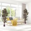 imageArtificial Fiddle Leaf Fig Tree  6FT Fake Plant with Pot and Natural Feel Leaves for Home or Office Decor  Artificial Plants Indoor by Pure Garden6ft  Set of 2