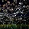 imageSolar Fairy Lights 2Pack  Outdoor String Lights with 200 LED and 8 Lighting Modes for Patio Backyard and Events by Pure Garden SilverCool