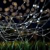imageSolar Fairy Lights 2Pack  Outdoor String Lights with 200 LED and 8 Lighting Modes for Patio Backyard and Events by Pure Garden SilverCool White