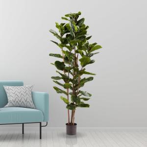 imageArtificial Fiddle Leaf Fig Tree  6FT Fake Plant with Pot and Natural Feel Leaves for Home or Office Decor  Artificial Plants Indoor by Pure Garden6ft