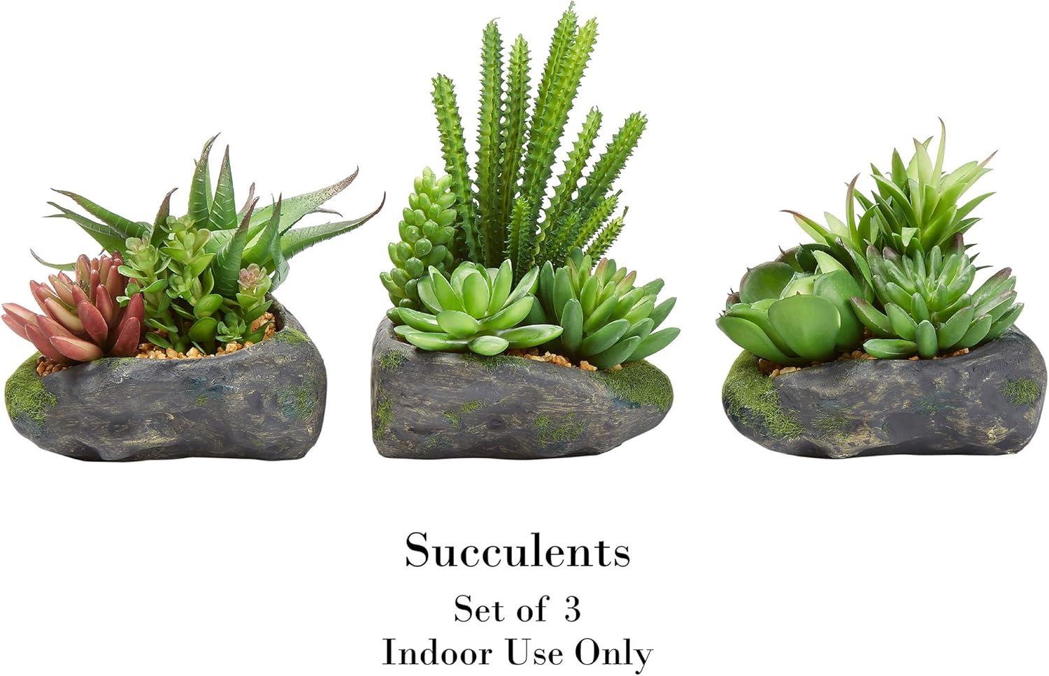 imagePure Garden Artificial Succulent Plants  3Piece Arrangement Set in Faux Stone Pots and Assorted Sizes  Lifelike Greenery for Home DecorationGray  Green
