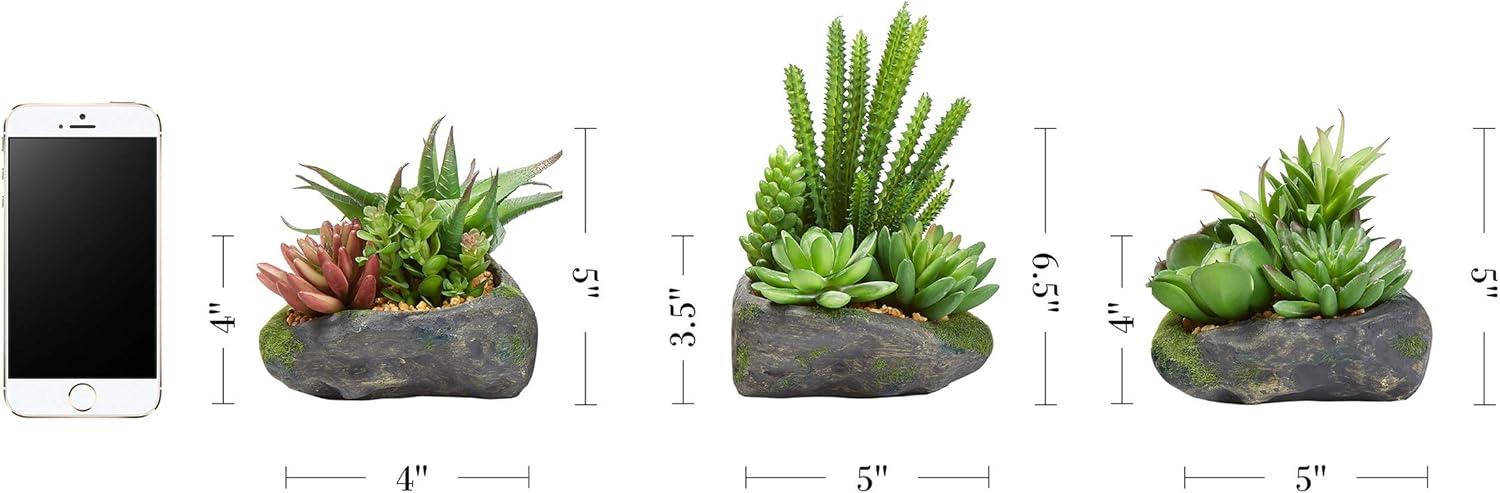 imagePure Garden Artificial Succulent Plants  3Piece Arrangement Set in Faux Stone Pots and Assorted Sizes  Lifelike Greenery for Home DecorationGray  Green