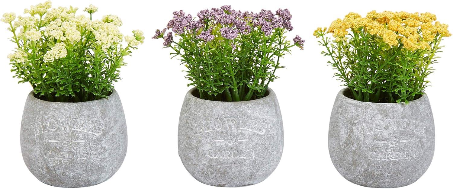imagePure Garden Artificial Succulent Plants  3Piece Arrangement Set in Faux Stone Pots and Assorted Sizes  Lifelike Greenery for Home DecorationIvory  Yellow   Purple