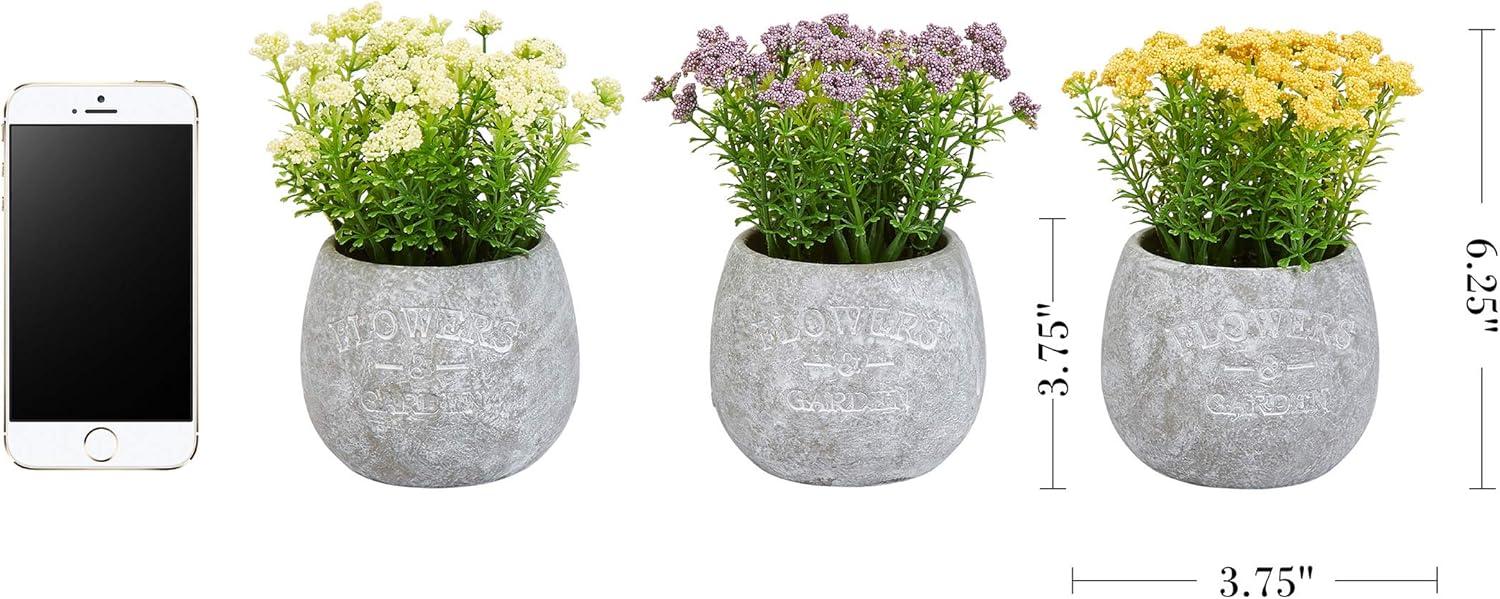 imagePure Garden Artificial Succulent Plants  3Piece Arrangement Set in Faux Stone Pots and Assorted Sizes  Lifelike Greenery for Home DecorationIvory  Yellow   Purple